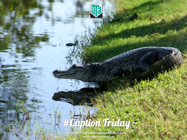 IMAgovTT's tweet photo. It's Caption Friday!!!
Give us your best caption using six words or more!
#captionfriday #instituteofmarineaffairs https://t.co/AGfTHTlgWd