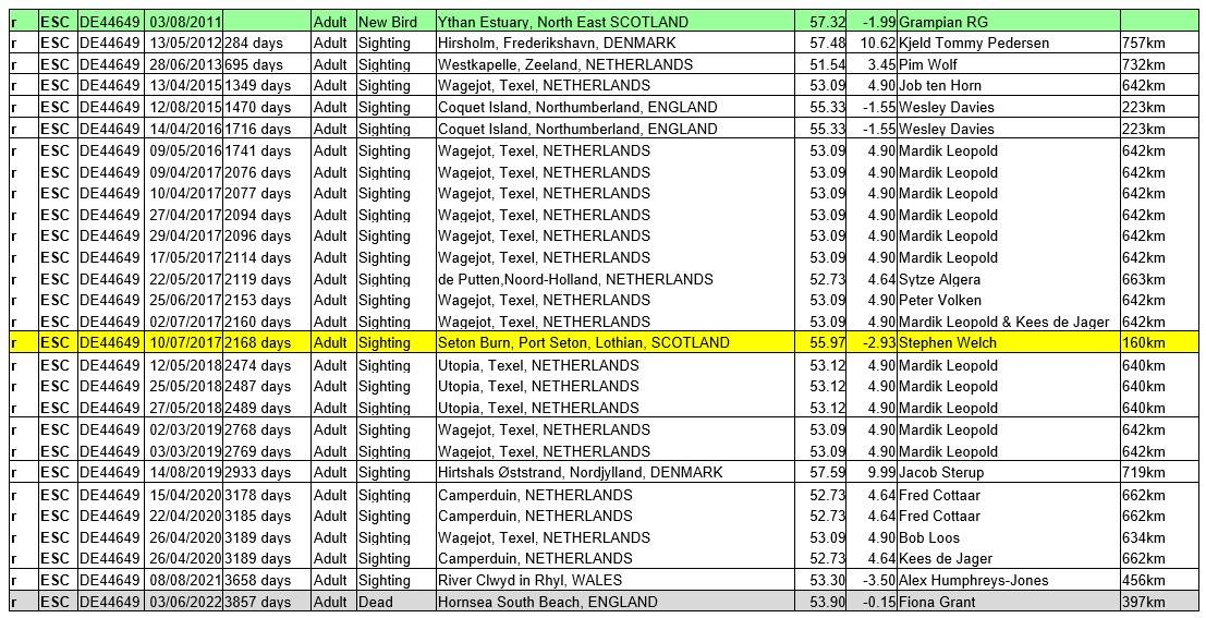 Stephen Welch tweet media