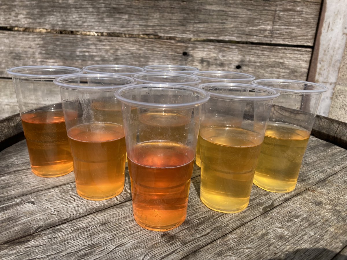 The Wild Cider Co tweet media