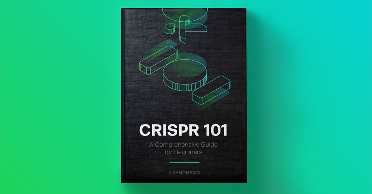Synthego's tweet photo. #CRISPR Curious? Indulge your curiosity and start your journey to becoming a #GenomeEngineer with our CRISPR 101 eBook. Grab your copy here 👉 https://t.co/hu9ClspNrZ https://t.co/19C82c5Hf0