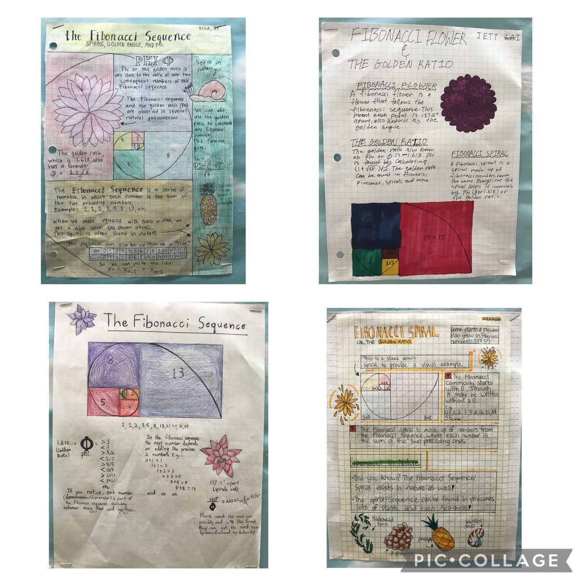 J. B. Tyrrell Senior Public School tweet media