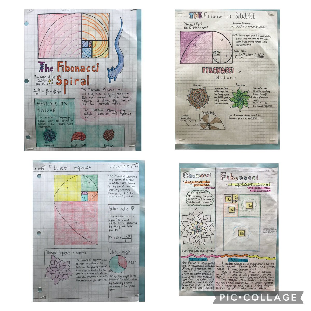 J. B. Tyrrell Senior Public School tweet media