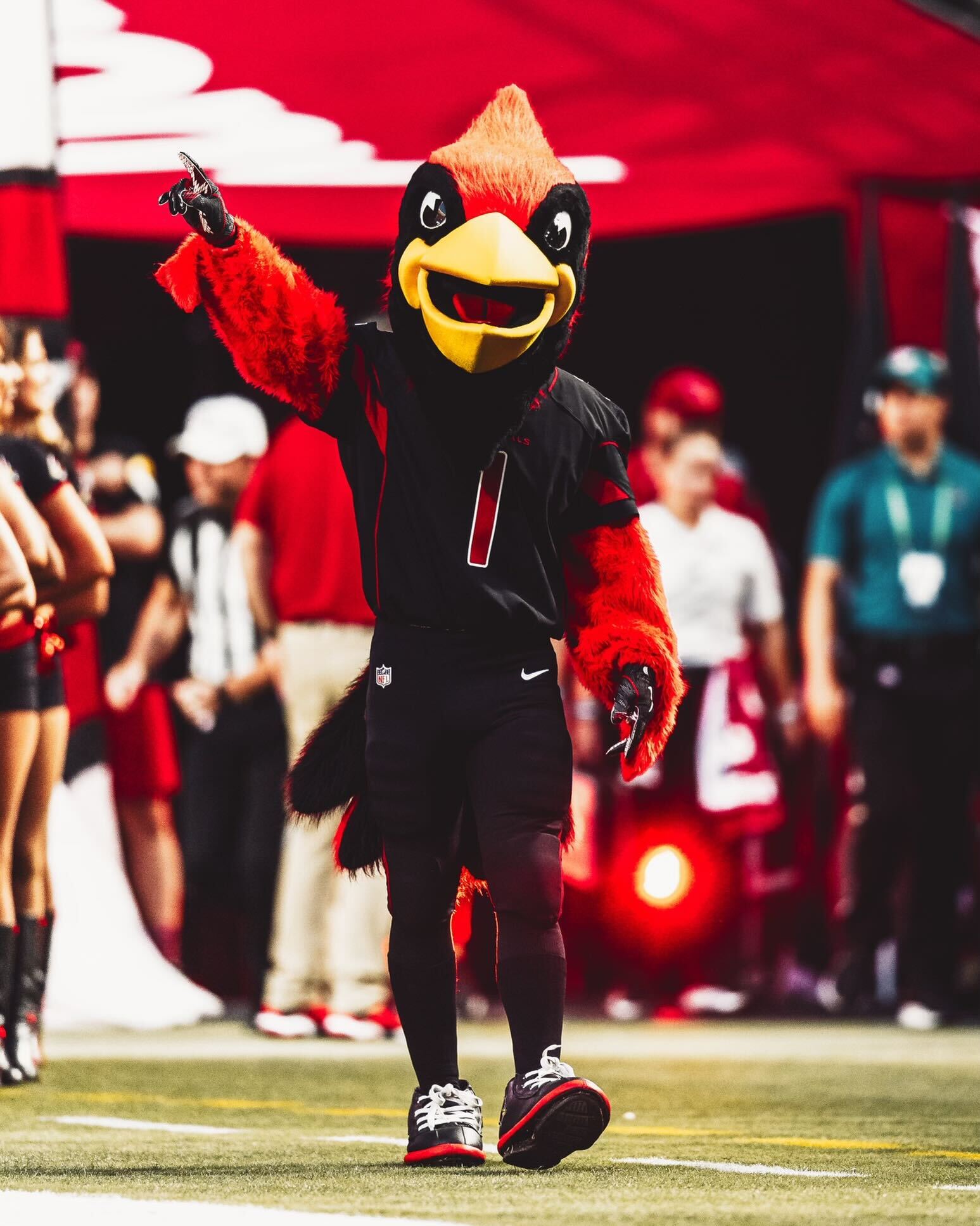 Arizona Cardinals on X: Happy #NationalMascotDay to the best