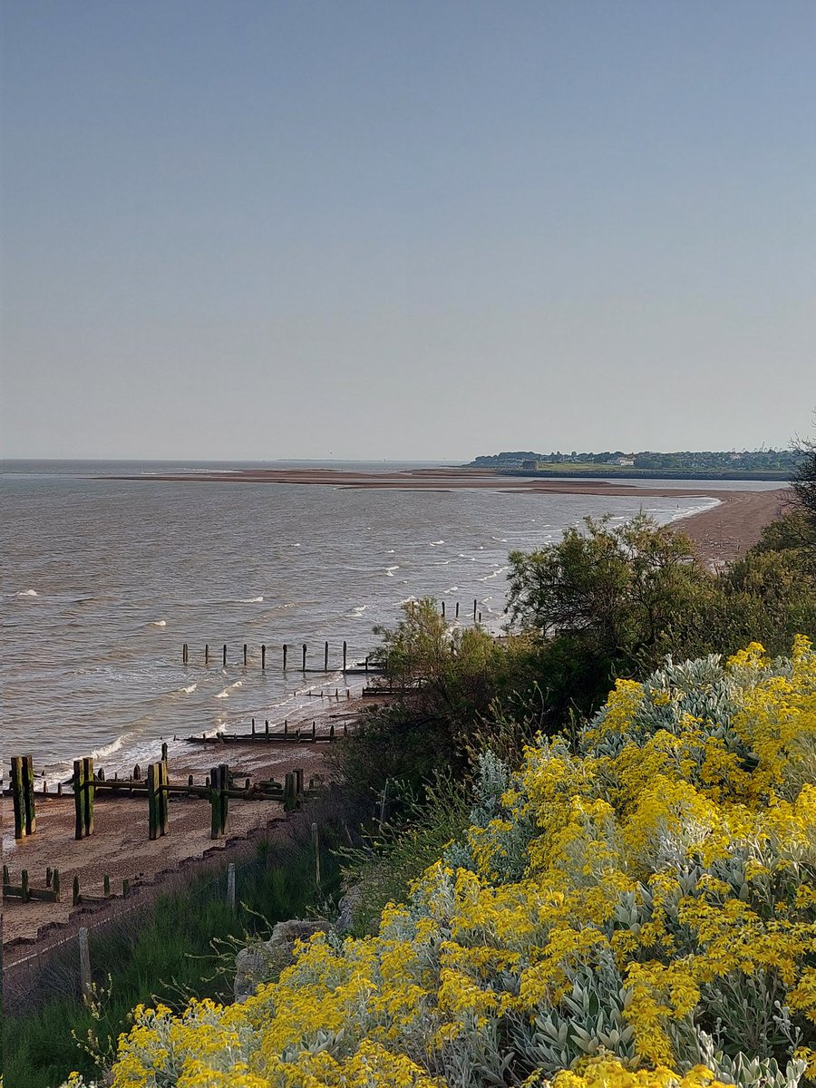 Longshaw Primary Academy tweet media