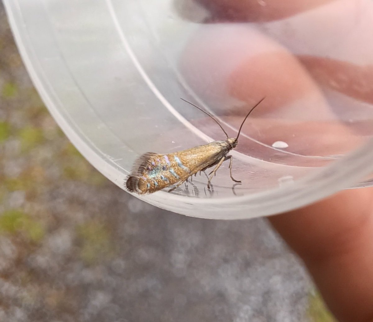 Ranger Toby tweet media