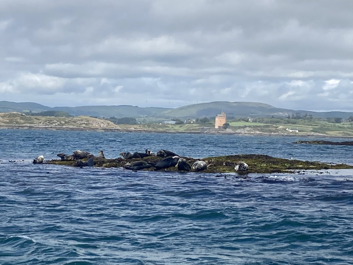 Baltimore Sea Safari tweet media