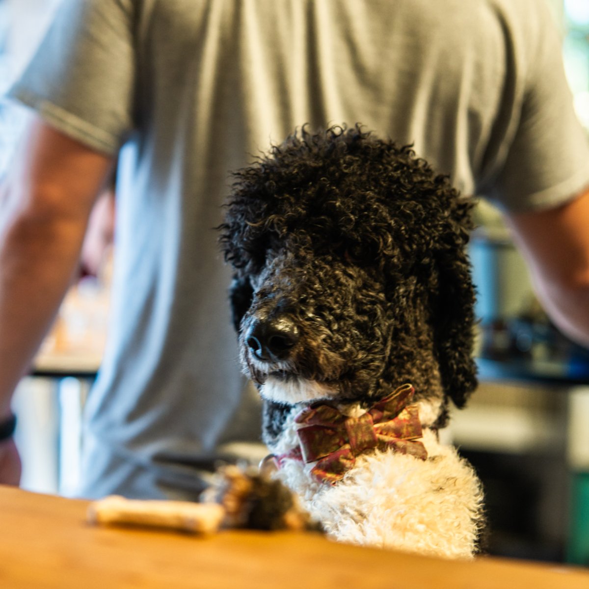 In honor of Father's Day this weekend, here's a dad joke for you all: What type of pizza is a dog's favorite? Pupperoni!