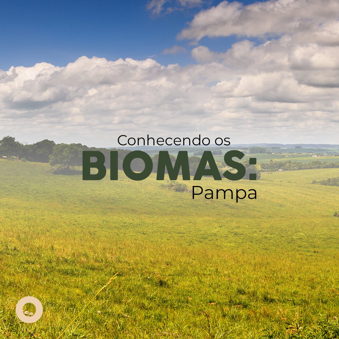 BiomaSolutions's tweet photo. Conhecendo o biomas: Pampa
Para proteger é fácil e rápido com a BIOMA Solutions. Acesse o link abaixo e faça sua parte!
https://t.co/pcyZymTeQL
#environment #sustentabilidade #meioambiente #bioma #preservaçãoambiental #biomasolutions #pampa #bioma #conhecendobiomas https://t.co/TeLoJxpYYz