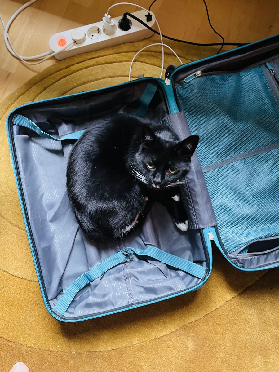 Ok. So I've always been kind of a time-pessimist. Which means that I've already started to think about what to pack for for #ISHTIP2022 #ISHTIPGBG. But I didn't quite plan for Omar, our inherited pub-cat, to join me...well, there's still two days to go...