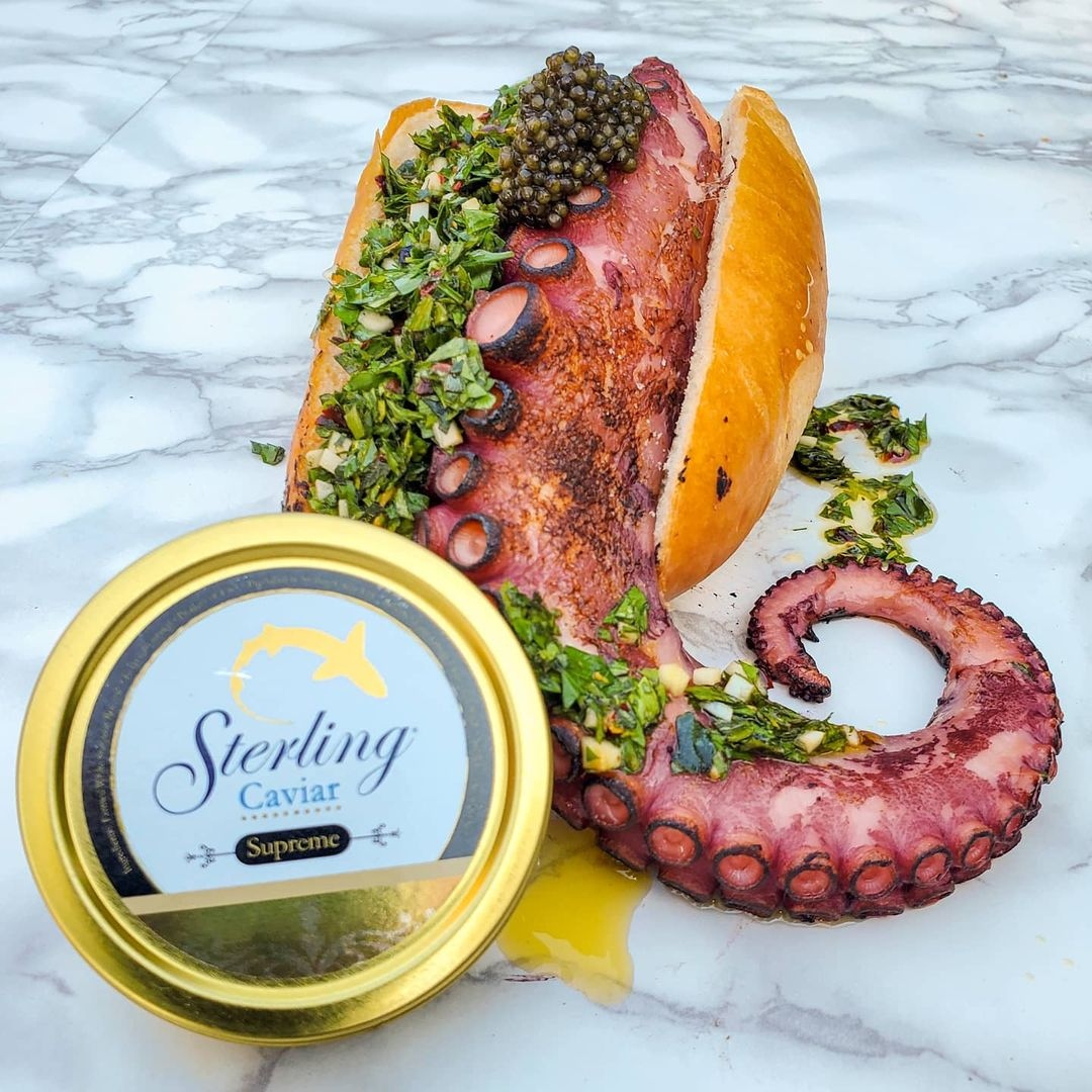 speedymojo's tweet photo. Whoa! Who's ready for this giant sandwich? Introducing 'Sous Vide Octopus Leg + Chimichurri Sauce + Black Caviar' by Chef @a_food_dude
#sterlingcaviar
#caviardreams #caviarlover #caviardish #caviarlife #caviarlovers #caviart #eatcaviar #caviarkings #caviarforanewgeneration https://t.co/OuKGn50vSz