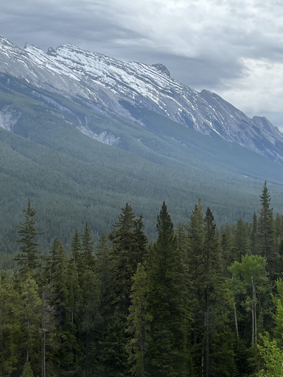 Steve Patterson (not a parody)🇺🇦 tweet media