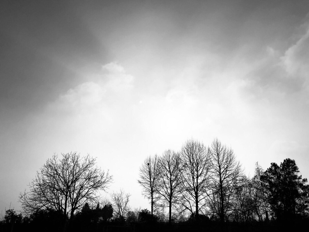 🟨 Now I am on Rarible 🟨

💚Quadruple trees💚

On a beautiful day on the road to paradise...

👇My Link on <a href="/rarible/">Rarible</a> 
rarible.com/token/tezos/KT…
➖
#NFT #rarible #raribleNFT #raribleNFTs #NFT_Shill #NFTSPACESHIP
➖
#nft #nftcollectors #nftphotography #tezos #nfttrees #NFTCommunity