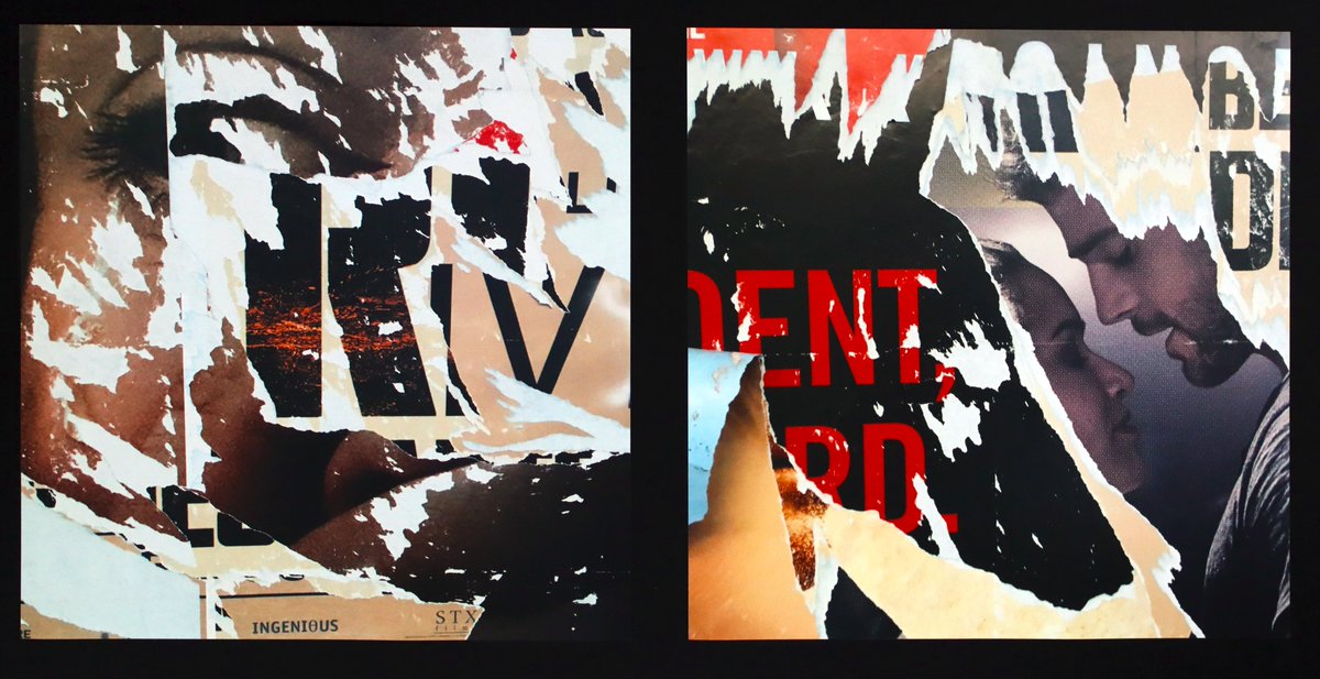 Mare Sheppard | BLM tweet media