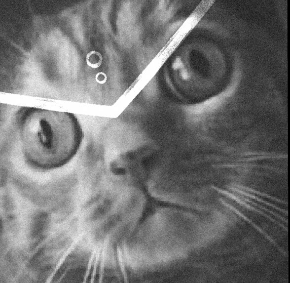 ELECTRUMSOL's tweet image. I found the white rabbit once and ill find the white rabbit again

#PSEUD