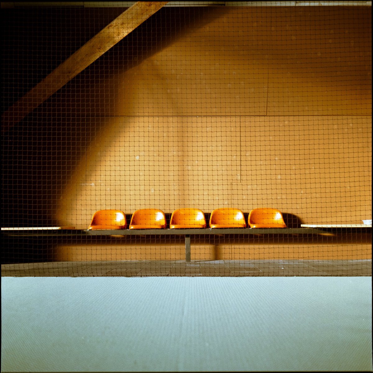 the camera.     📷     the photos.