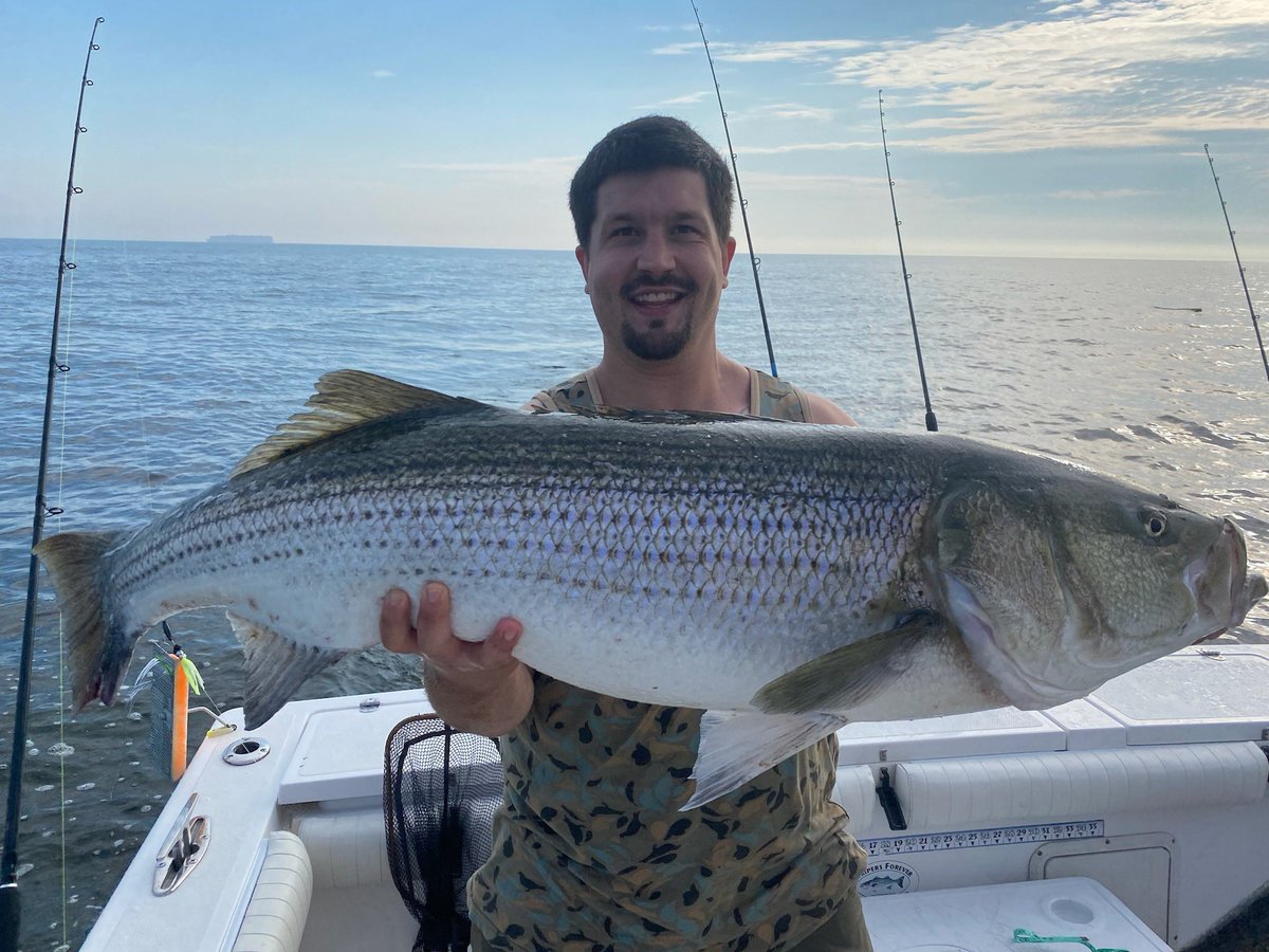 bud_wise_erv's tweet photo. New Personal Best!

49” length, 30” girth, &amp; 52lbs!!!!

#stripedbass #bass #fish #fishing #bigfish #striper #explore #outdoors https://t.co/KIEYnYS2jE