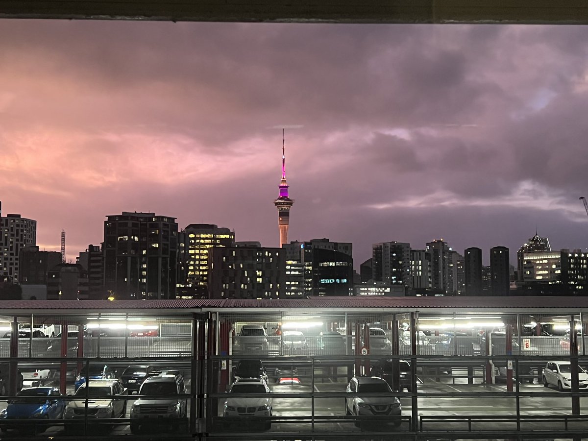 What a whirlwind of a first week, but the new team have all been so lovely and welcoming so far…looking forward to the future here! 🇳🇿#OfficeViewUpgrade #nurse #picu