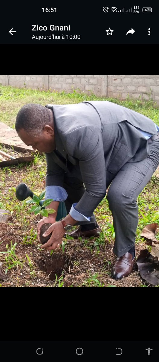 laTdE_SA's tweet photo. Journée nationale de l'arbre : la #TdE a lancé sa campagne de reboisement ce jeudi 16 juin à Cacavelli. Plus de 500 plants ont été mis à terre sous la conduite de son DG @GbatiWake. Elle se poursuivra dans les agences afin d’atteindre l’objectif de 1000 plants à Lomé pour 2022. https://t.co/czMCR2icMf