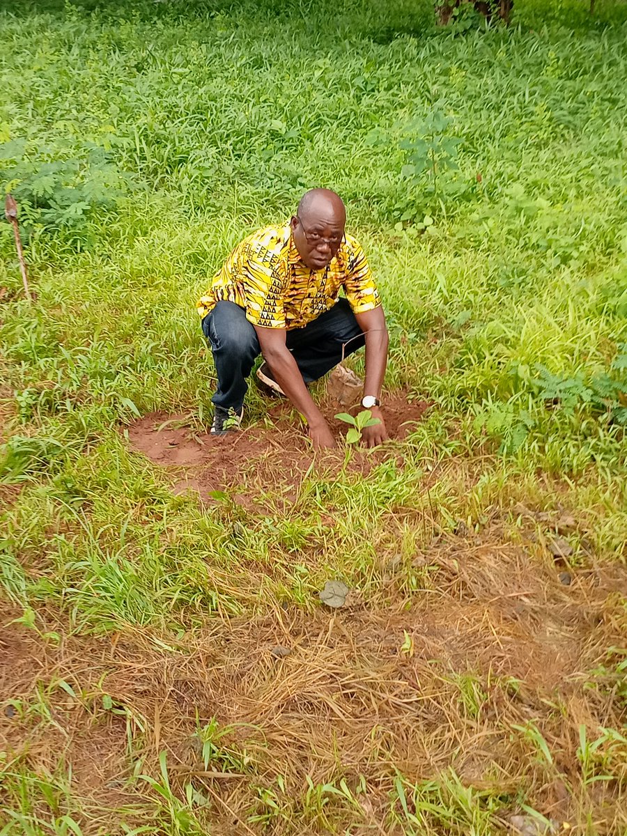 laTdE_SA's tweet photo. Journée nationale de l'arbre : la #TdE a lancé sa campagne de reboisement ce jeudi 16 juin à Cacavelli. Plus de 500 plants ont été mis à terre sous la conduite de son DG @GbatiWake. Elle se poursuivra dans les agences afin d’atteindre l’objectif de 1000 plants à Lomé pour 2022. https://t.co/czMCR2icMf