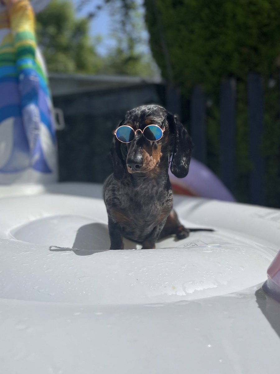 Meryl Streep has been loving the pool in the sun today!