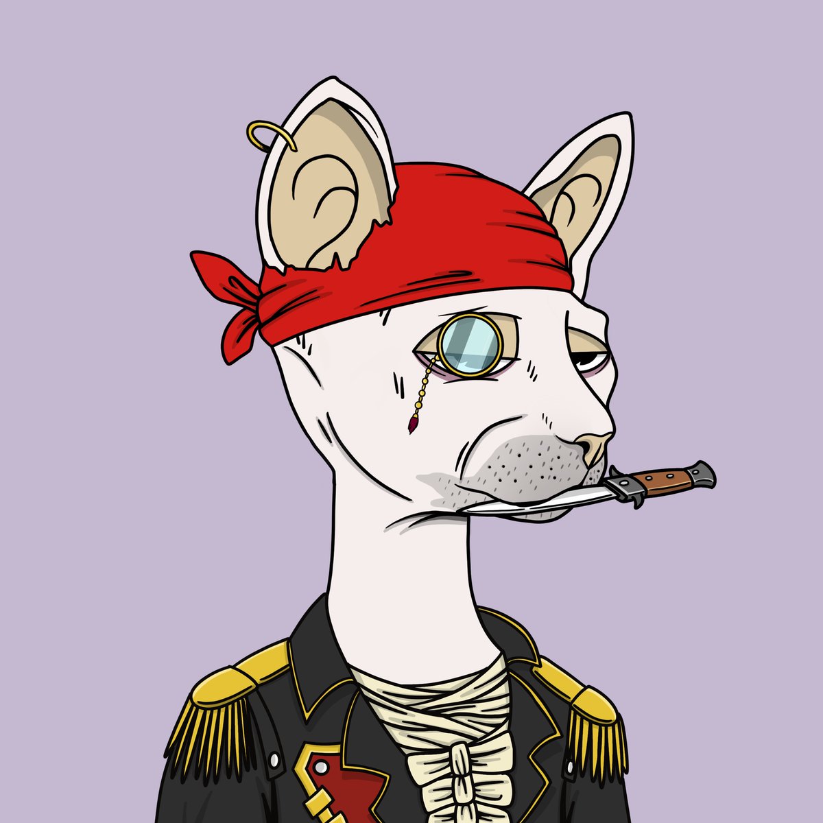 The Sphynx Club tweet media