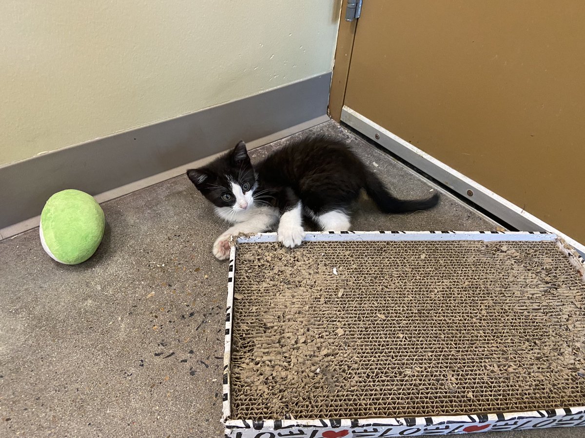 Greg Yarbrough tweet media