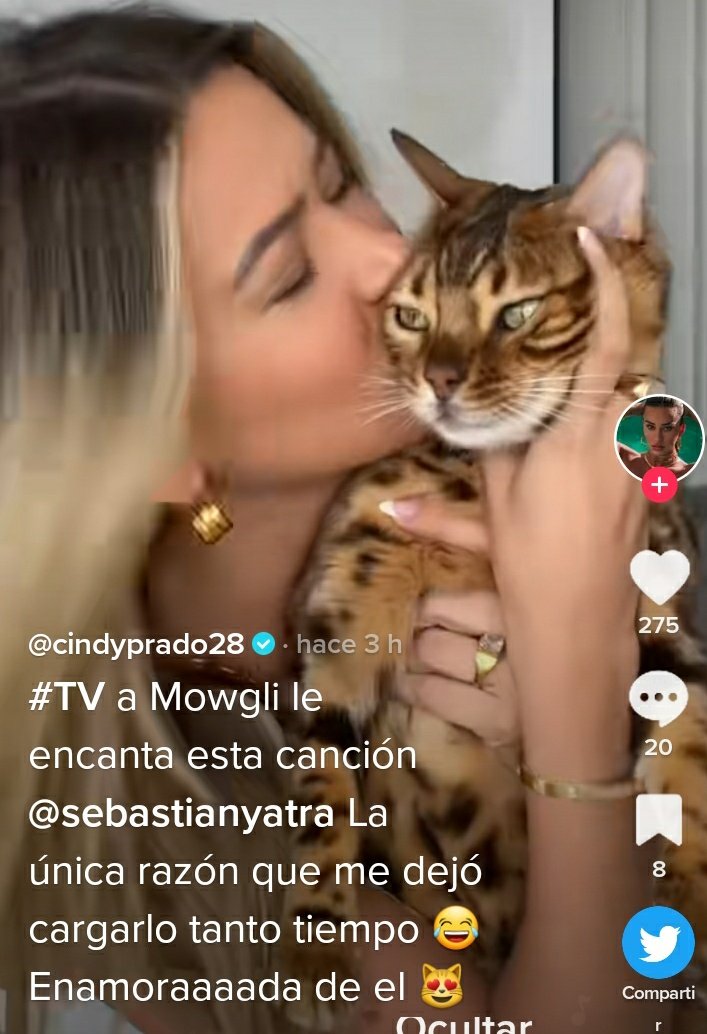 LauraSalz16's tweet photo. #SiLasSonrisas 

Matarannmm 🥰🥰🥰🥰

Este es el real #AmorHot 🔥🔥🔥🔥

Después de TTT .... 🔥🔥🔥🔥🧡💫 https://t.co/SUbmp7o3Ln