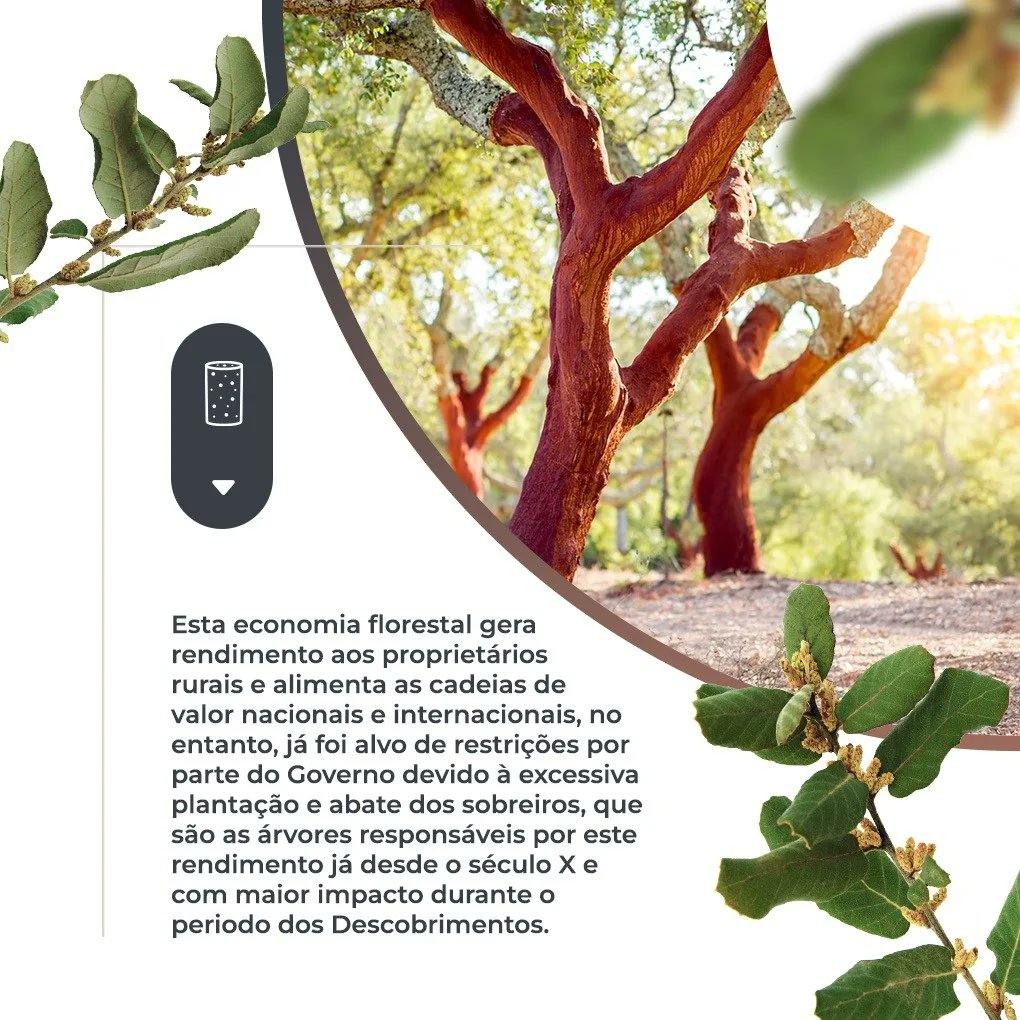 Foresttail2021's tweet photo. Segundo a APCOR, Portugal detém a indústria da cortiça a nível mundial. Dada a ligação com a madeira, não é de estranhar que se destaca mundialmente em produtos de base florestal.
#foresttail #forest #tail #associacao #portugal #verde #animais #dafarm #pinguim #cortiça #madeira https://t.co/nsNrKoM2Oj