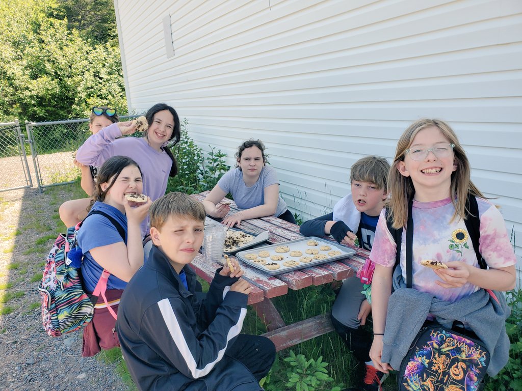 MsBrooksNL tweet media