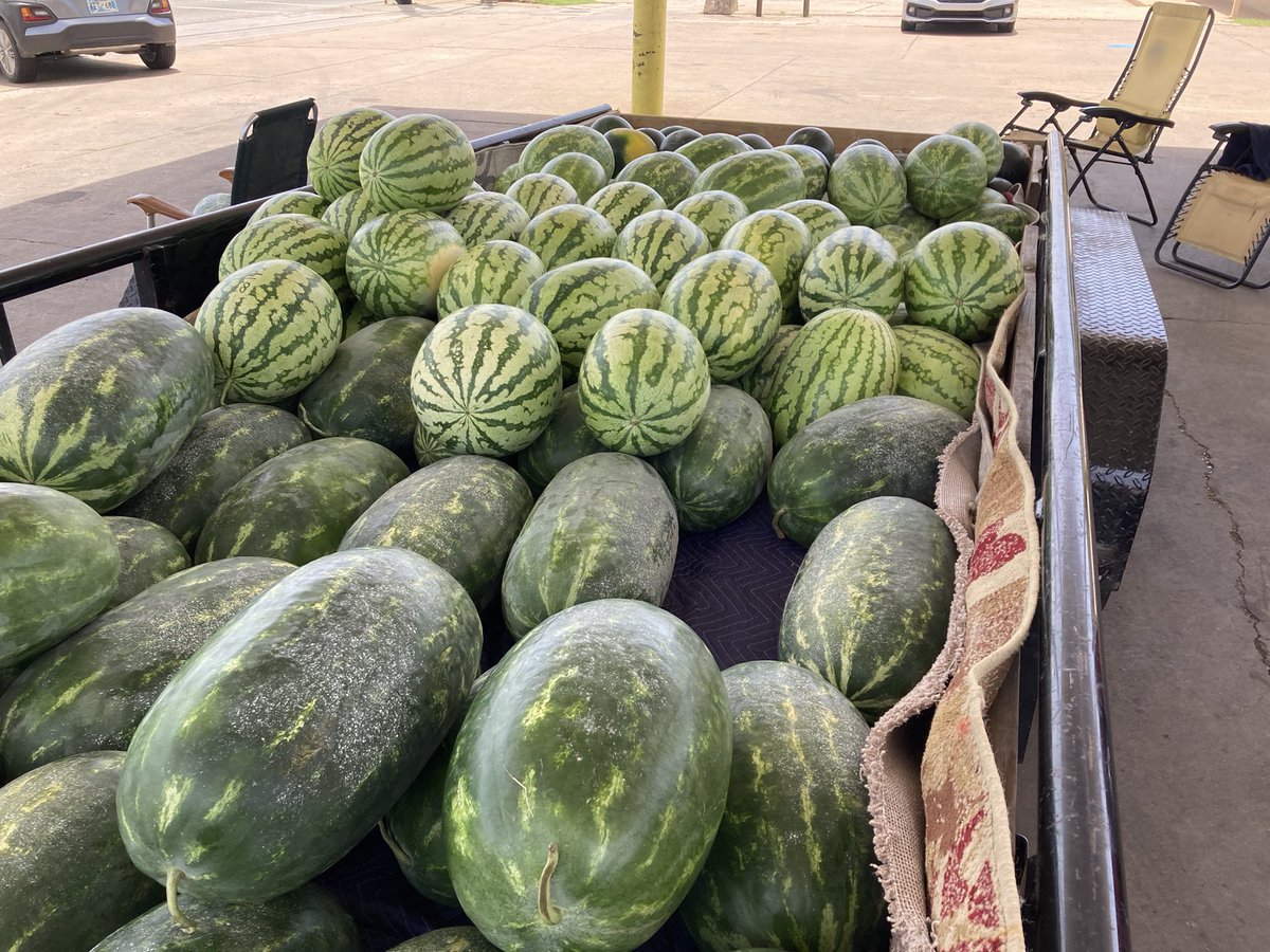 frosteemac's tweet photo. We have yellow meats,red diamond seedless &amp; seeded all sweets and jubilees
🍉 🍉 🍉 
Location N Sheridan &amp; King St #Watermelon #AllSweets #Jubilees #YellowMeats #RedDiamonds #Seeded #Seedless https://t.co/VHDaLZluFR