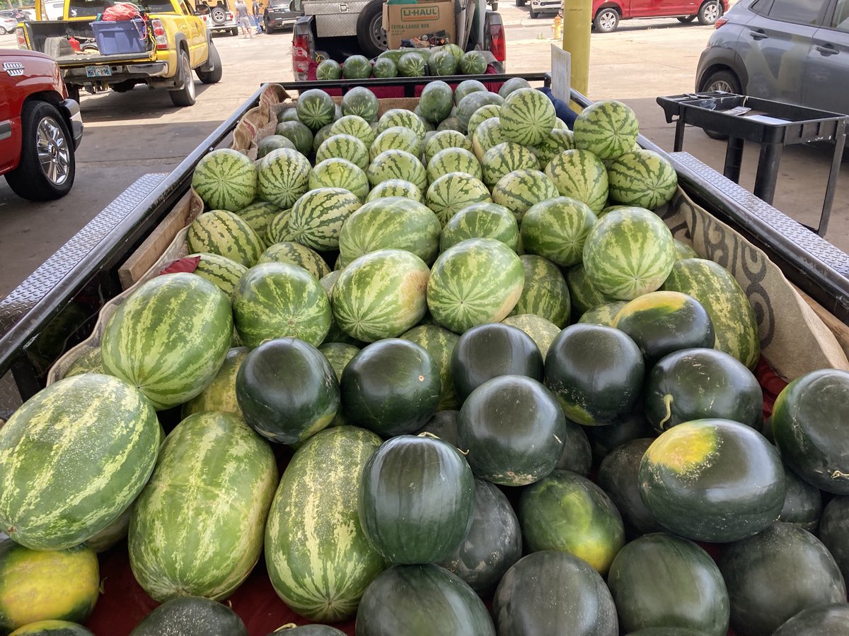 frosteemac's tweet photo. We have yellow meats,red diamond seedless &amp; seeded all sweets and jubilees
🍉 🍉 🍉 
Location N Sheridan &amp; King St #Watermelon #AllSweets #Jubilees #YellowMeats #RedDiamonds #Seeded #Seedless https://t.co/VHDaLZluFR