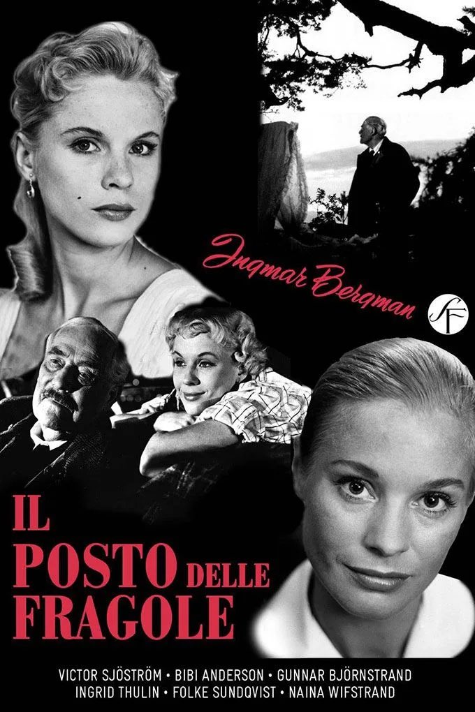 __uburoi's tweet photo. @AuroraFantin @Andreacritico Ed è subito #cinestate https://t.co/GsBnpf1auW
