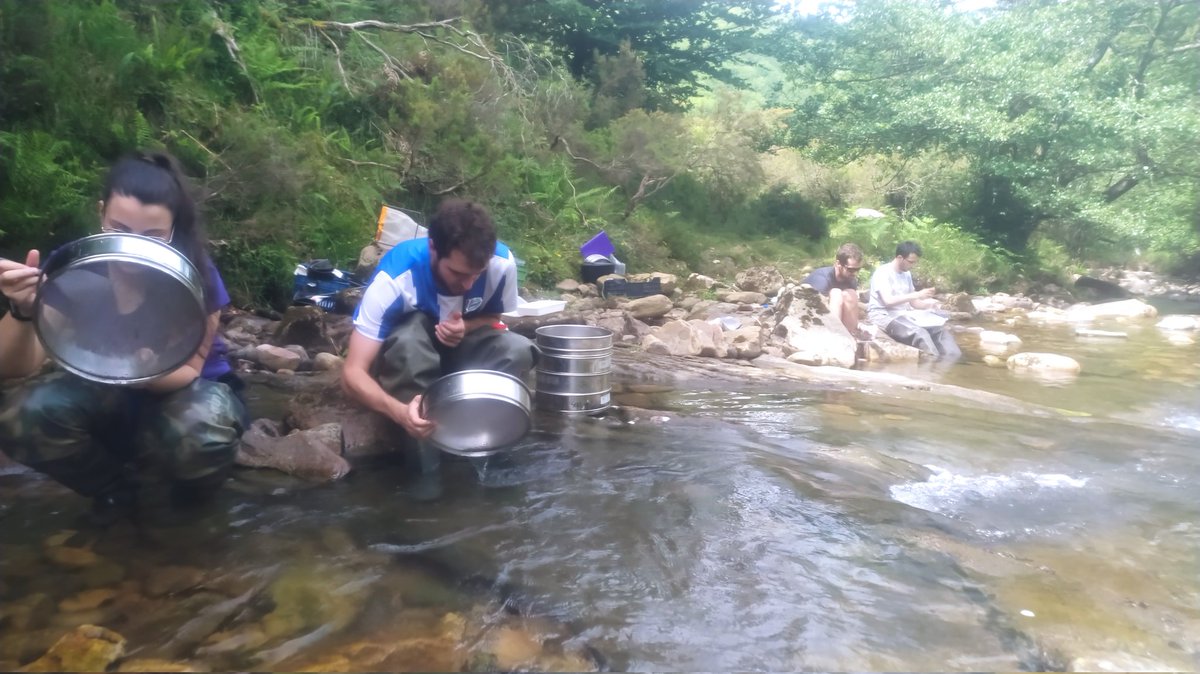 Sampling in these amazing streams at the #Gorbea natural park for the RiMSEC project
<a href="/upvehu/">UPV/EHU</a>