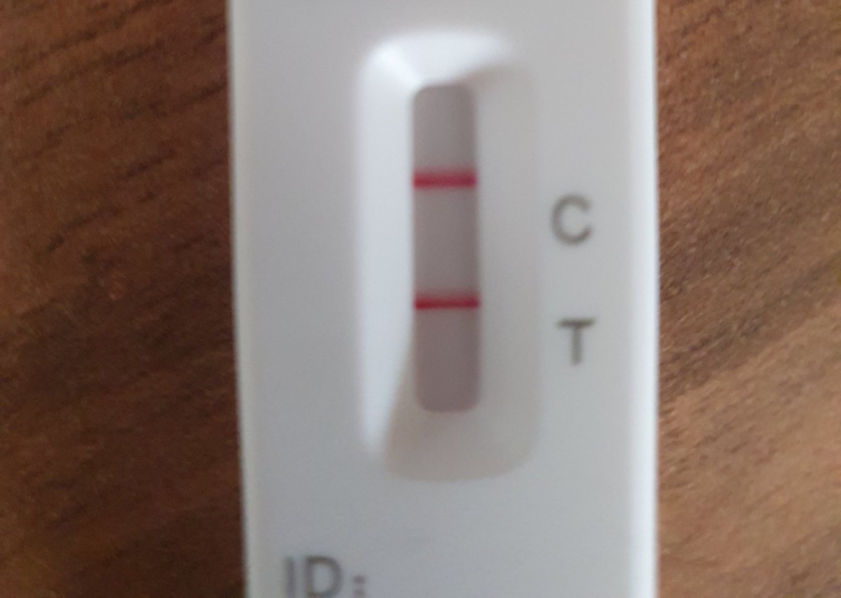 Dadosaur tweet media