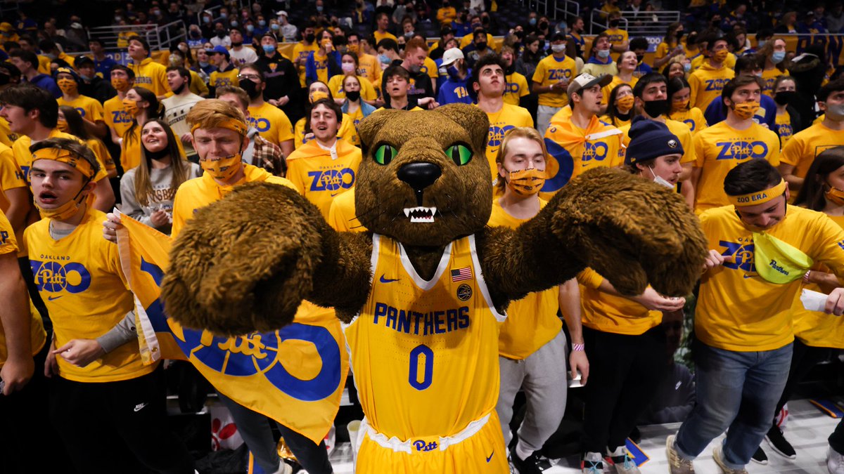 Pitt_MBB's tweet photo. RT to show some love to @ROCthePanther on #NationalMascotDay ‼️ https://t.co/O7xSZFBcGg