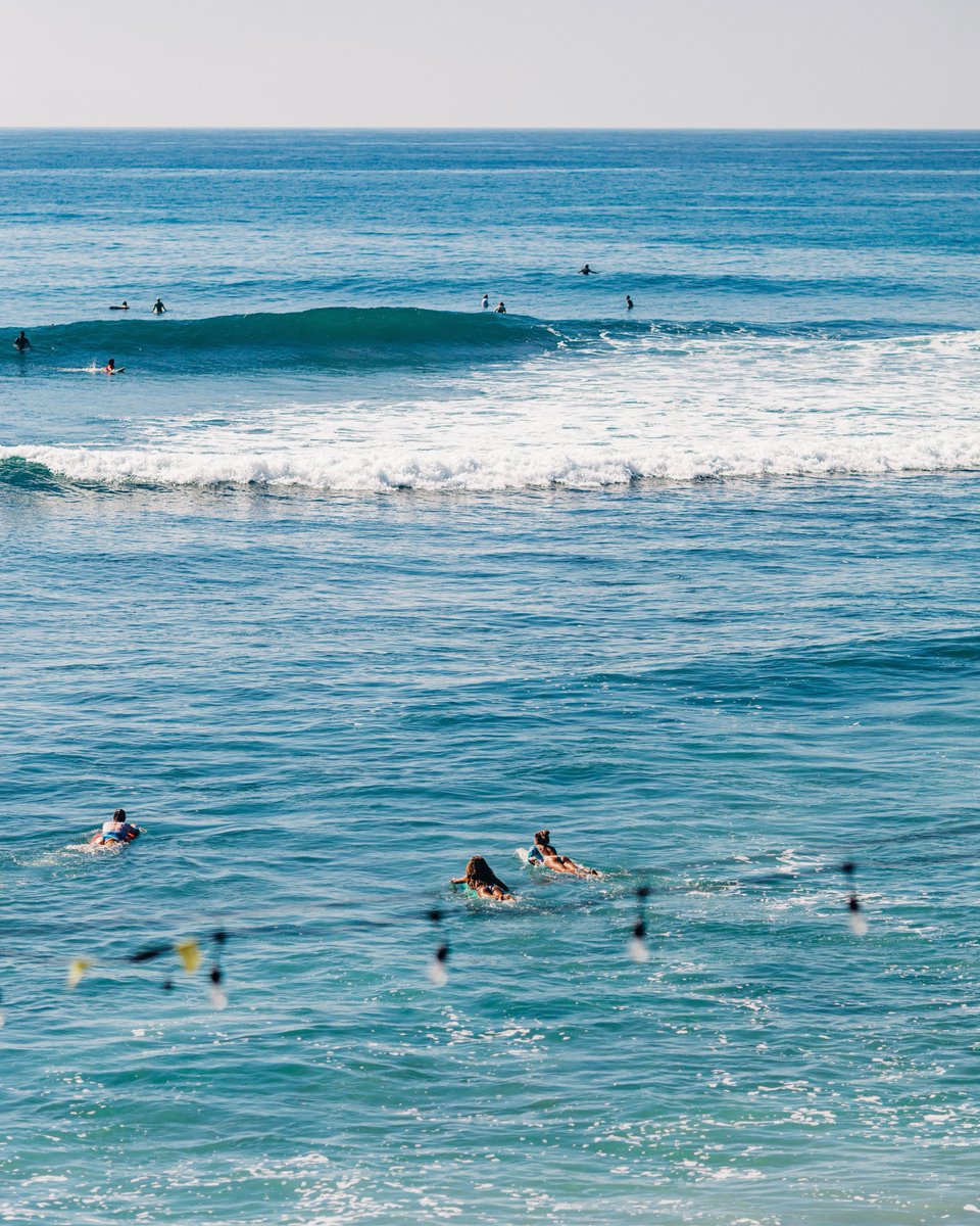 WSL One Ocean tweet media