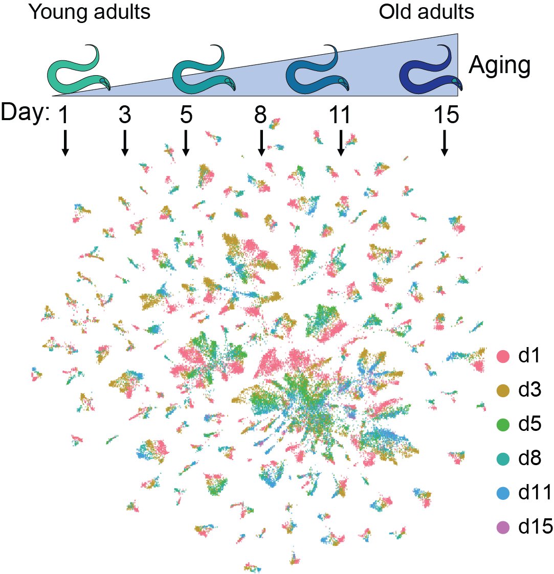 I am very proud to present our Aging Atlas and the discoveries me made. It's now available in Biorxiv and at …s.aging.atlas.research.calicolabs.com. Thanks to my co-authors Han Yuan, Dave Kelley, Katie Podshivalova, Dave Hendrickson, Rex Kerr and Cynthia Kenyon
biorxiv.org/content/10.110…