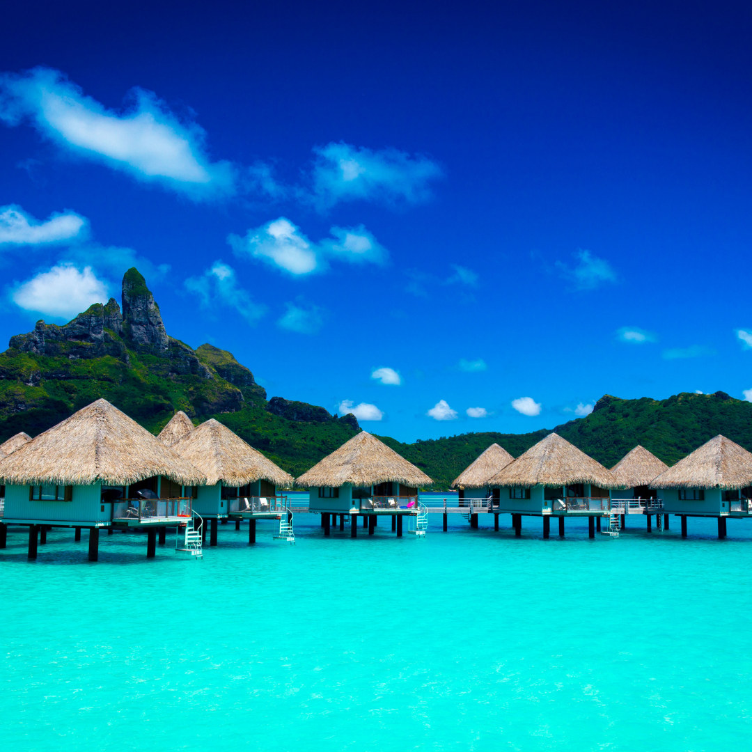 ElliottExquisiteVacatins&Assoc - Dreams Vacations tweet media