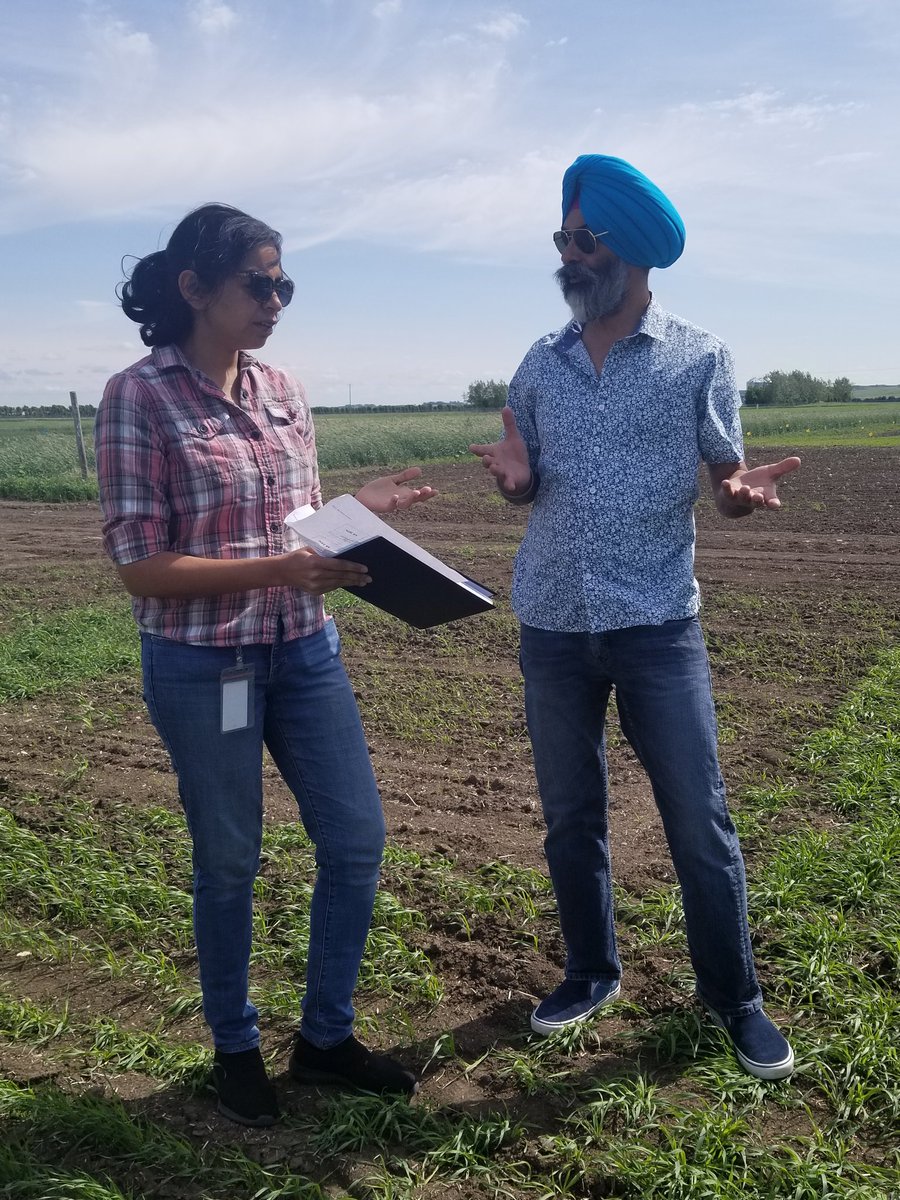 raju_aafc's tweet photo. Earlier today, @WheatSingh visited the wheat plots and @AafcEvan helped install soil moisture probes. Thanks to @nehavaid17 and @Subarna15838616 for your assistance. @AAFC_Canada @SantoshAAFC @SaskWheat @mb_cropalliance @AlbertaWheat @westerngrains https://t.co/BnuhVRnB4u