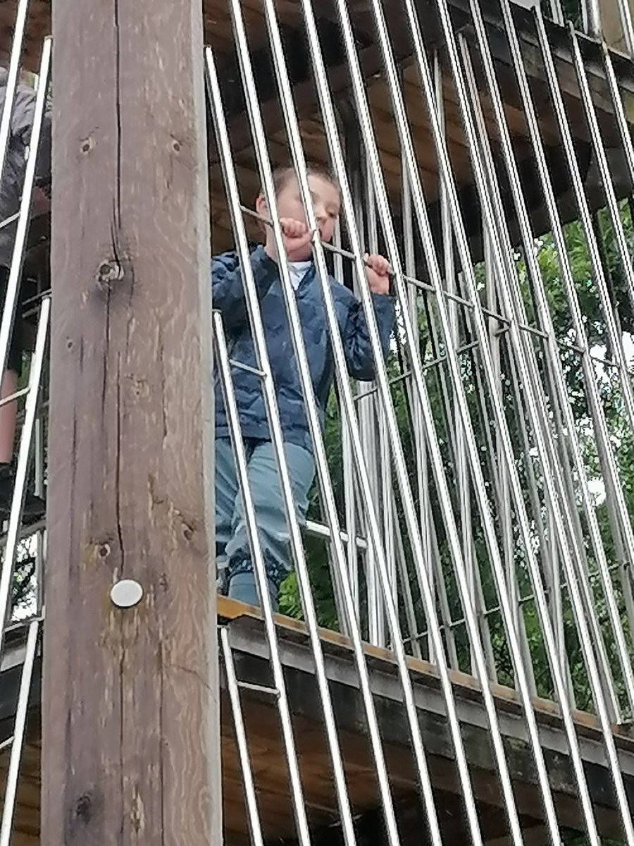 MrsBMonaghan's tweet photo. L1/2 and L2 having more fun in the park. Exploring and climbing and just having fun! @LyndaHendrs @PrimaryOrchard https://t.co/1bspwb9QBl