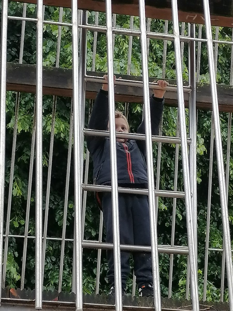 MrsBMonaghan's tweet photo. L1/2 and L2 having more fun in the park. Exploring and climbing and just having fun! @LyndaHendrs @PrimaryOrchard https://t.co/1bspwb9QBl