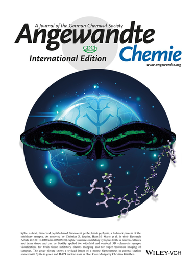 angew_chem's tweet photo. #OnTheCover Versatile Synthetic Affinity Probe Shows Inhibitory Synapse Ultrastructure Brain Connectivity https://t.co/XJyCuRnrOg @RVZ_Wuerzburg @VKhayenko @HMaricLab @SchulteClemens @OraFurman @HeinzeLab @HeinzeKatrin https://t.co/4ewHUeLOBg