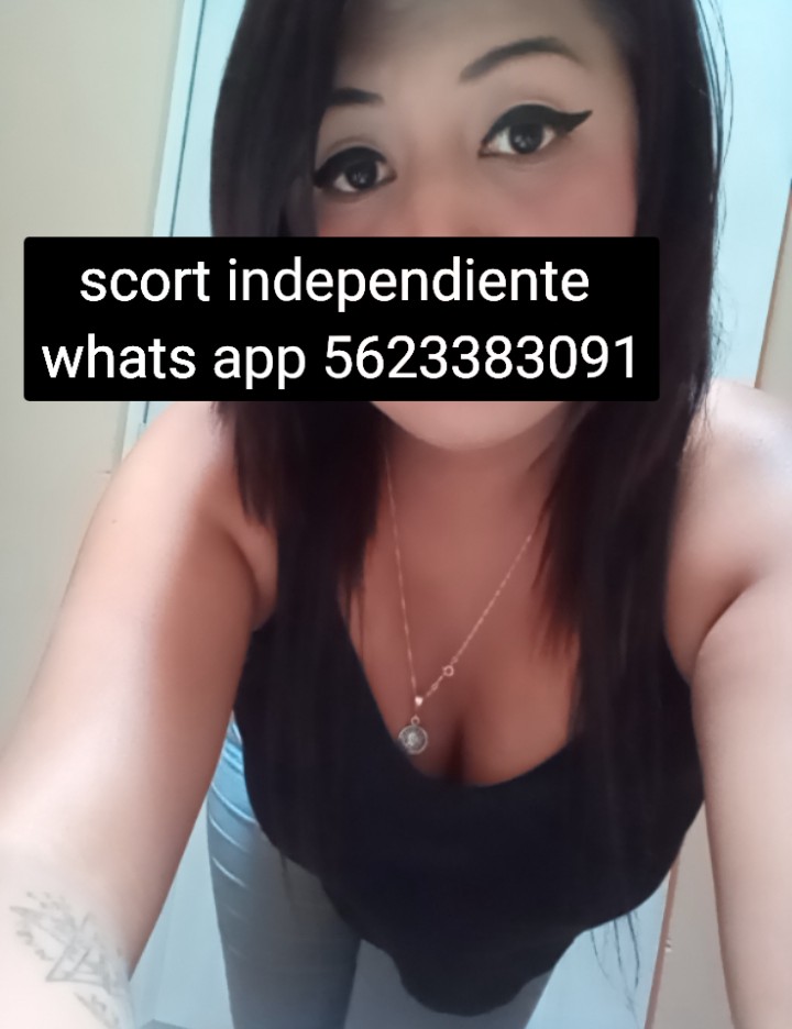 Iris Scort San Luis potosi tweet media