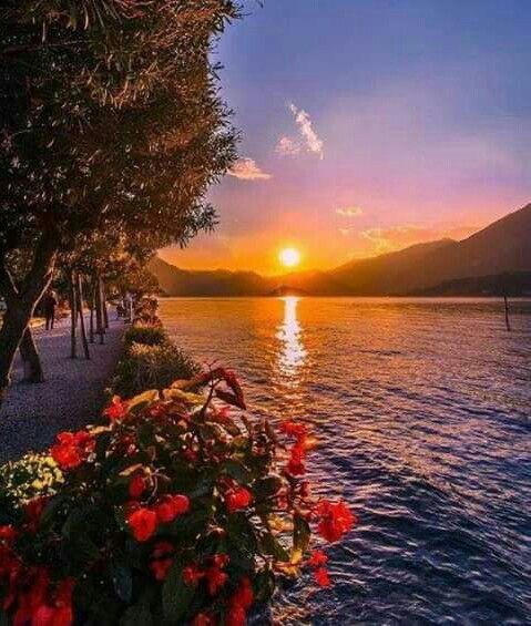 roryquinn3's tweet photo. Good Evening 
#NaturePhotography #nature https://t.co/Qm86crUdsA
