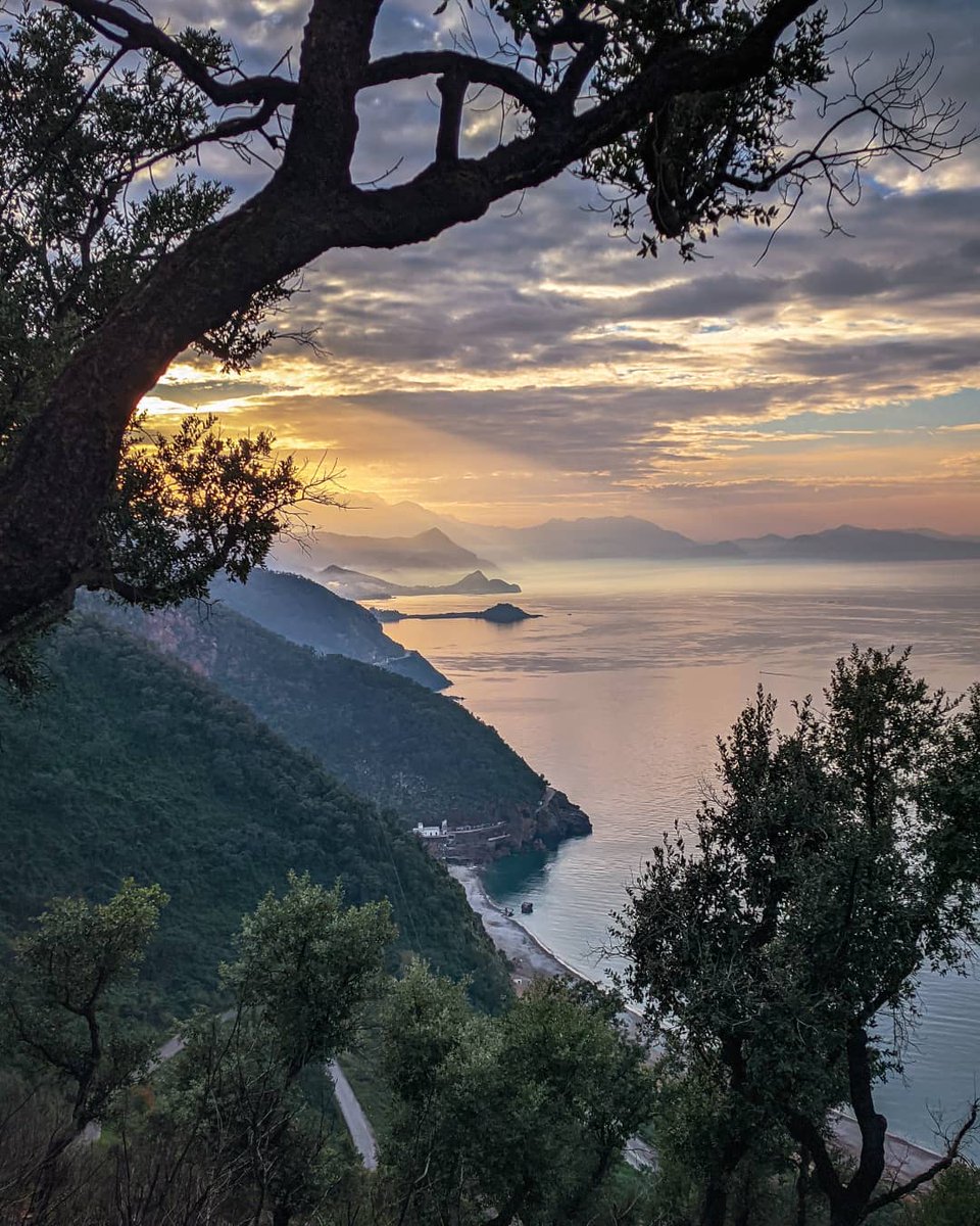 albookers's tweet photo. Ziama, Mansouriah, Jijel, Algeria
#oran #alg #jijel #skikda #algeria #algerie #travel #travelphotography #travelblogger #sea #sealife #beach #beachlife #nature #photography #adventure #hotel #jmoran2022 #bts
 #MTVLAKPOPBTS
 #JungkookxCharliePuth https://t.co/BTKdY0W1kt
