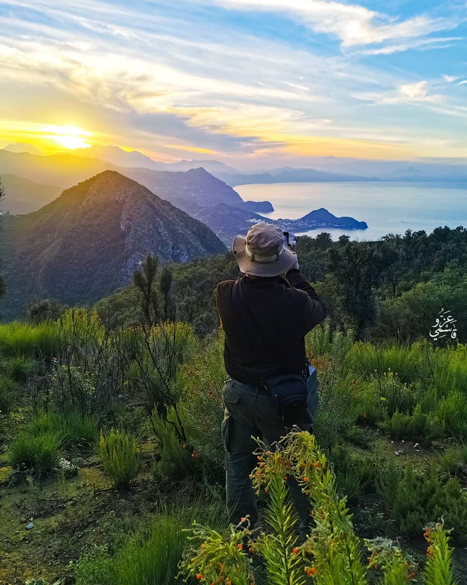 albookers's tweet photo. Ziama, Mansouriah, Jijel, Algeria
#oran #alg #jijel #skikda #algeria #algerie #travel #travelphotography #travelblogger #sea #sealife #beach #beachlife #nature #photography #adventure #hotel #jmoran2022 #bts
 #MTVLAKPOPBTS
 #JungkookxCharliePuth https://t.co/BTKdY0W1kt