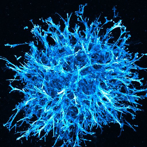 Cornell Biomedical Engineering tweet media