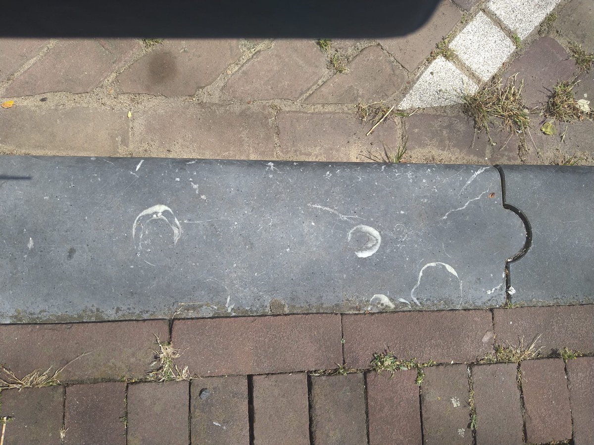FreedomoftheStreets tweet media