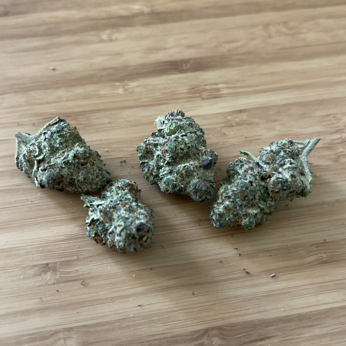 Spirit of 420 💨🌿🌲🌳 tweet media