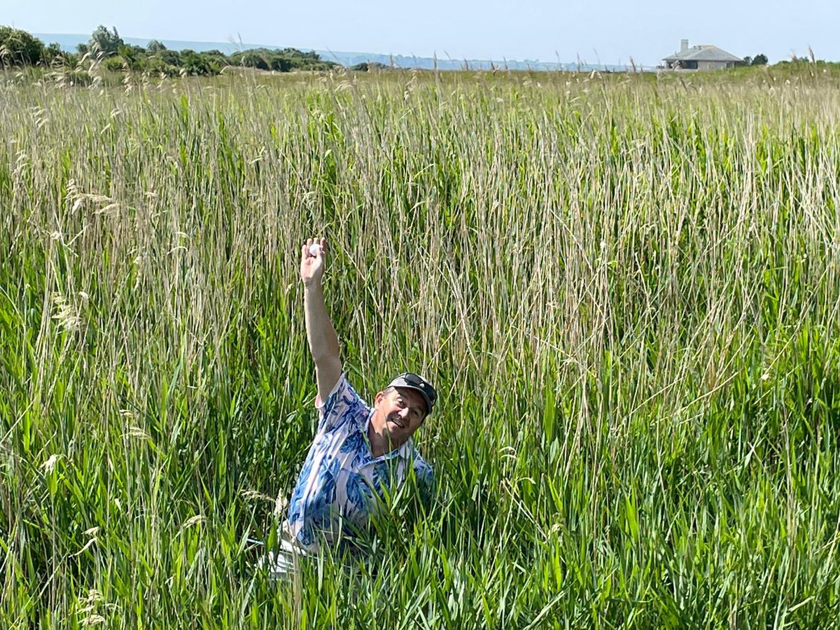 viallia6's tweet photo. Beautiful #Machynys first experience and VERY challenging. Would love to come again with more time at the end of the day. Love #llanelli https://t.co/2nScB1QlGe